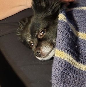 Meet your Posher, Phyllis